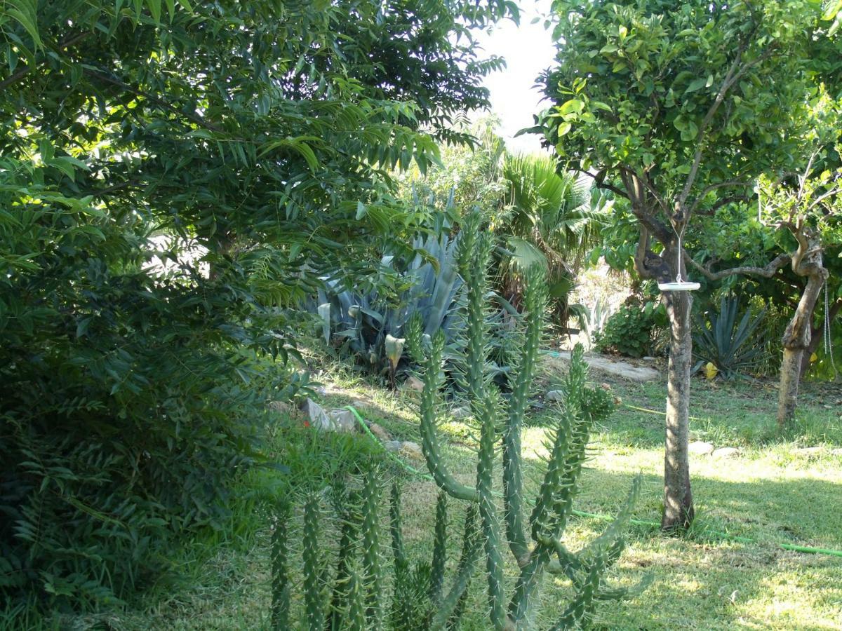 La Finca Blanca Álora Eksteriør billede