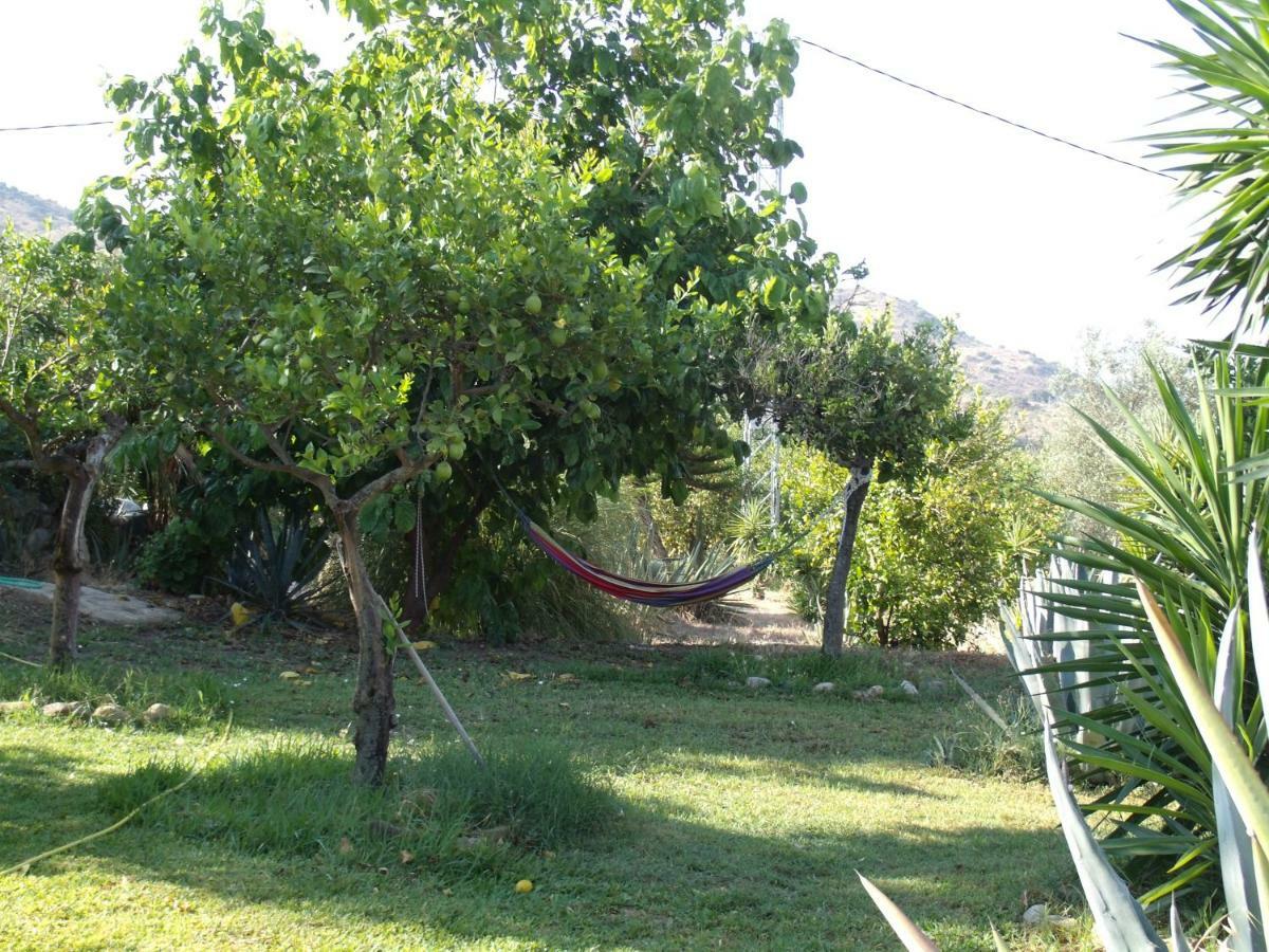 La Finca Blanca Álora Eksteriør billede